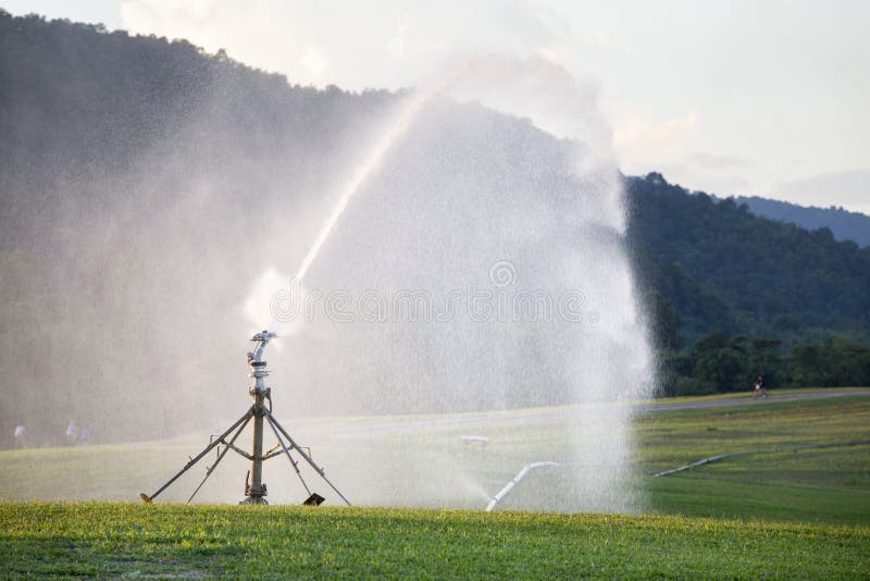 Sprinkler Head Watering the Bush Stock Photo Image of shoot, moisture