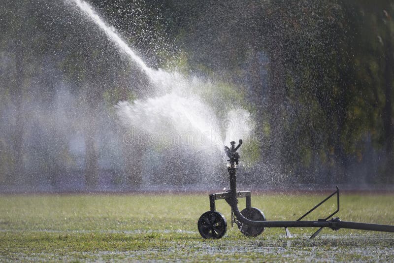 Sprinkler Head Watering the Bush Stock Photo Image of shoot, moisture