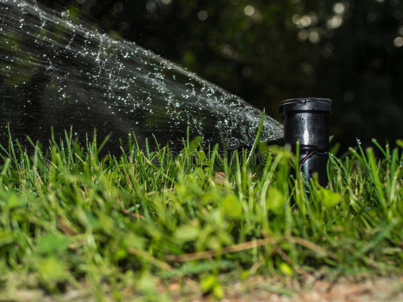 Sprinkler for Plants in the Grass Stock Image Image of head, growth