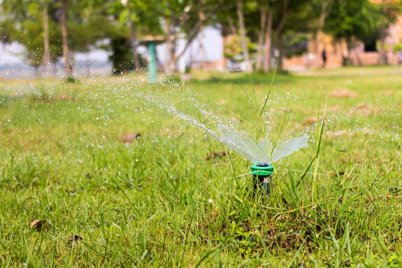Sprinkler Spraying Water on the Grass. Stock Photo Image of garden