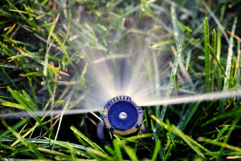 Sprinkler Spraying Water on Lawn Grass Stock Photo Image of green