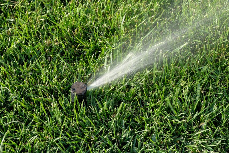Sprinkler Watering New Lawn. Sprinkler System Working on Fresh Green