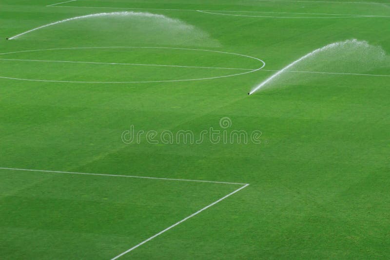 Sprinkler system working on fresh green grass on football soccer stadium