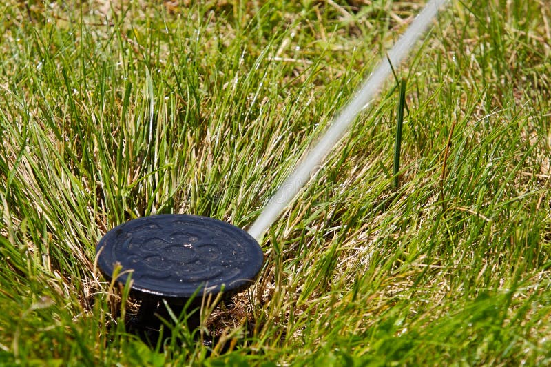 Sprinkler watering royalty free stock image