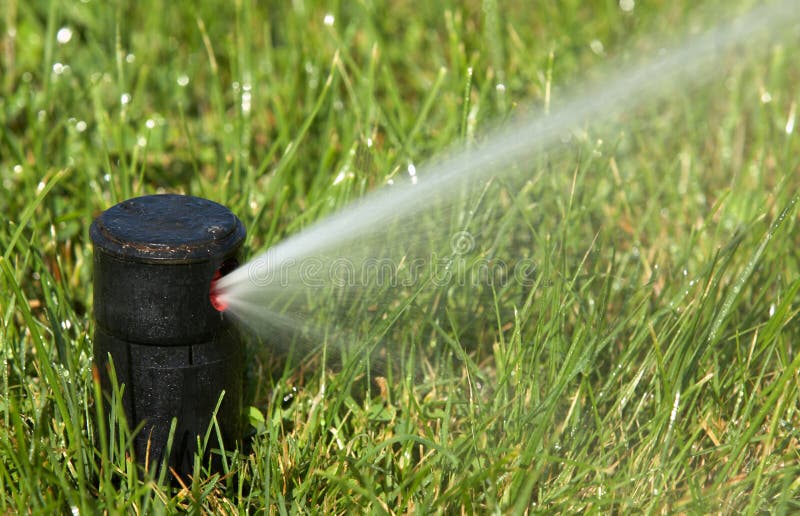 Sprinkler watering stock image