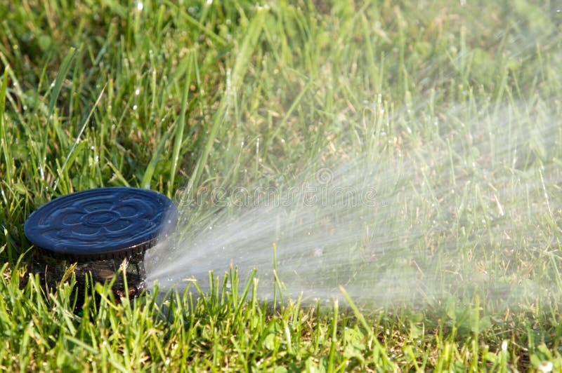 Sprinkler watering royalty free stock photo