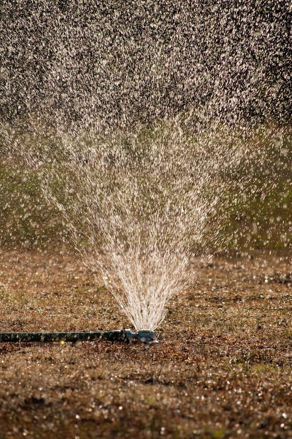 Sprinkler watering dry dead grass stock images
