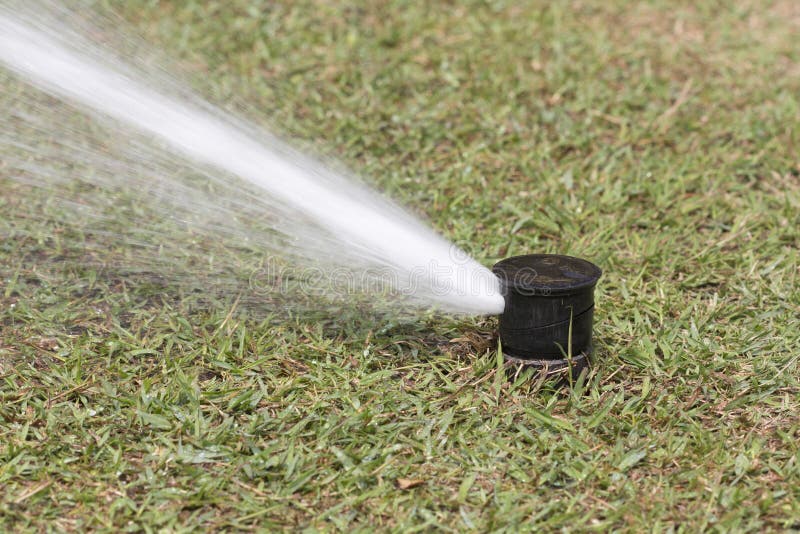 Sprinkler head watering in golf course