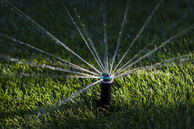 Sprinkler watering grass royalty free stock photography