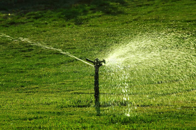Sprinkler watering green lawn royalty free stock photo