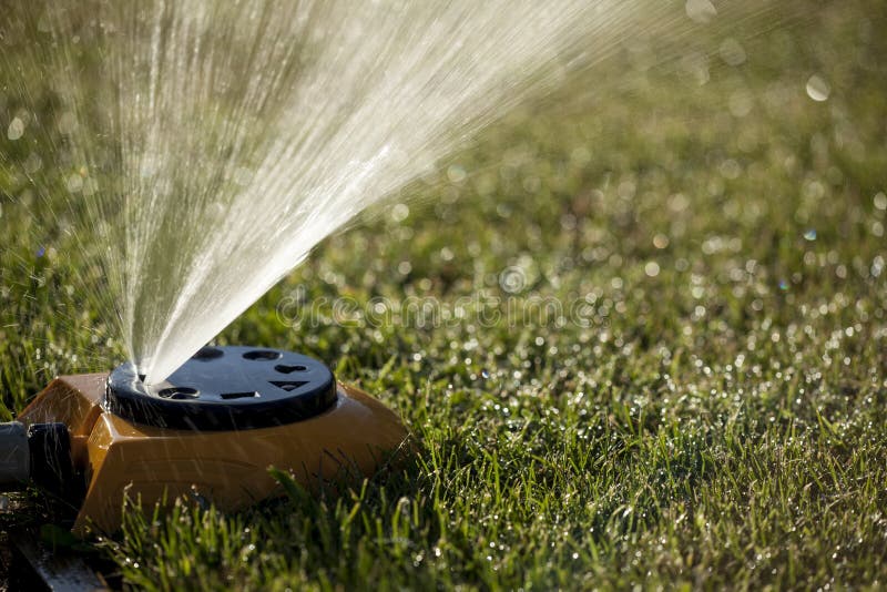 Sprinkler watering the lawn royalty free stock photos