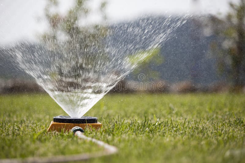Sprinkler watering the lawn royalty free stock photo