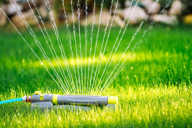 Sprinkler working on grass irrigation. Multiple sprinkler system watering the fresh lawn stock photo