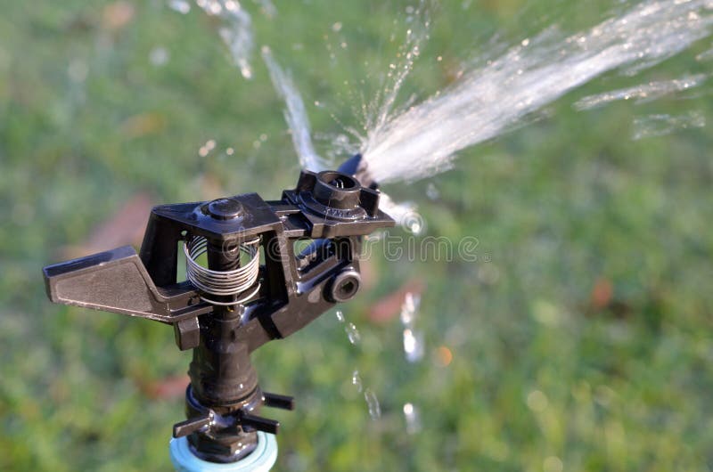 Sprinkleranlage Des Wassers Im Garten Stockbild Bild von