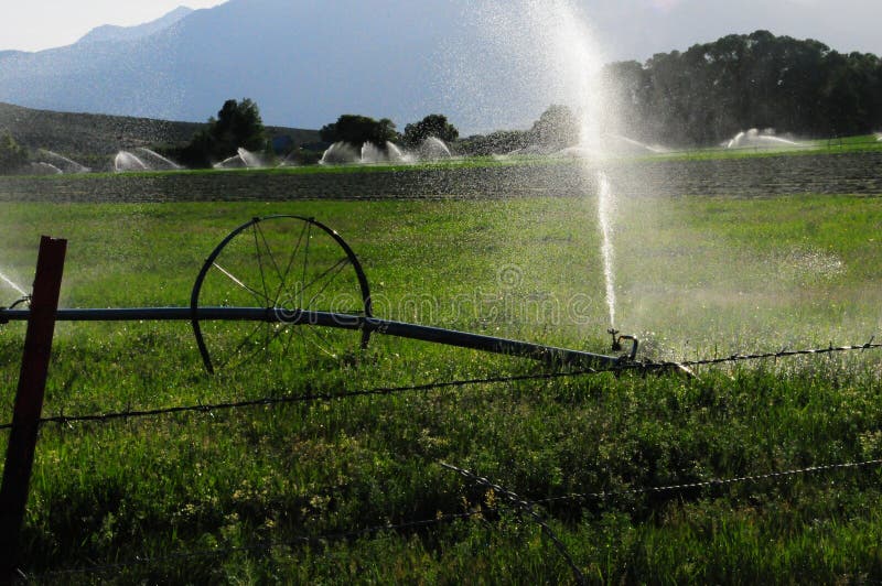 Sprinklers Running Stock Photos Free & RoyaltyFree Stock Photos from