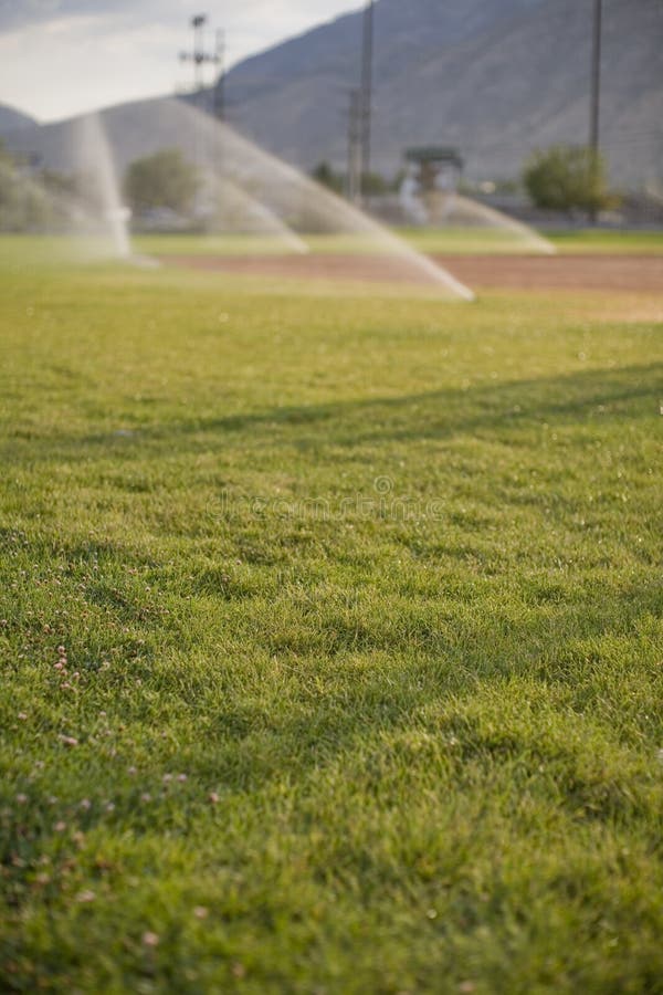Sprinklers watering field stock image. Image of vertical 3028203