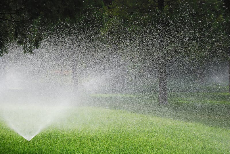 Sprinkling plants royalty free stock photo