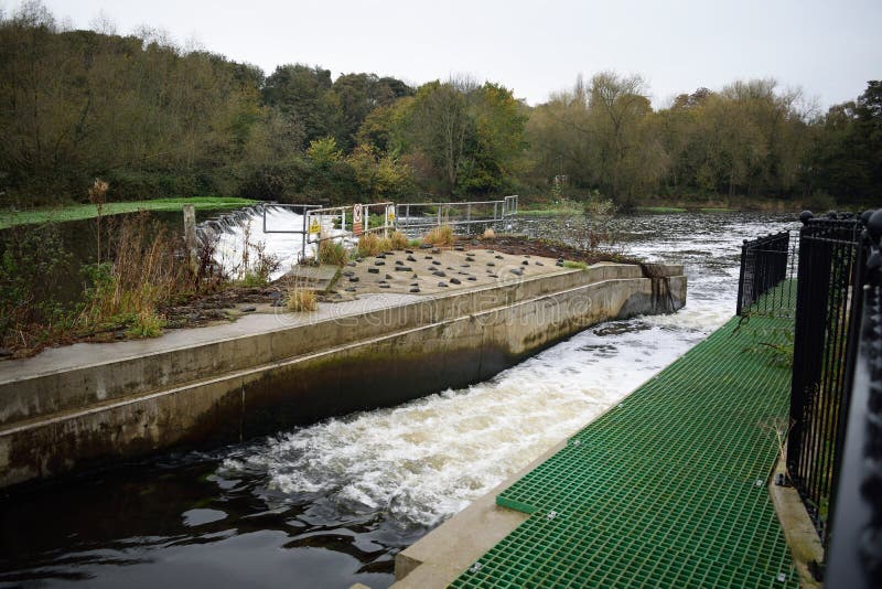 Sprotbrough and Warmsworth River Don Weir Salmon Run Fish Pass Stock