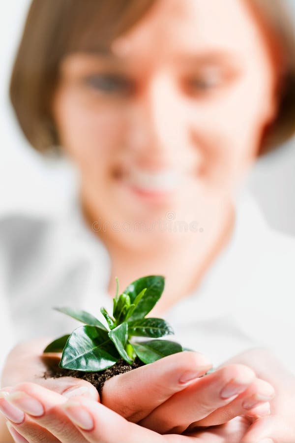 Sprout stock photo. Image of hand, care, black, business 4180750