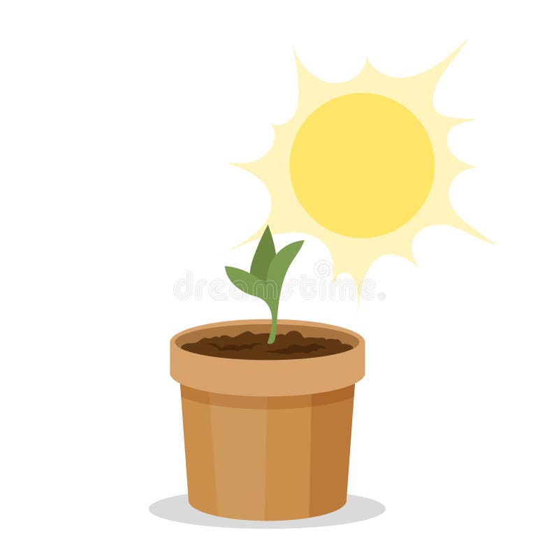 sunlight plant clipart without background