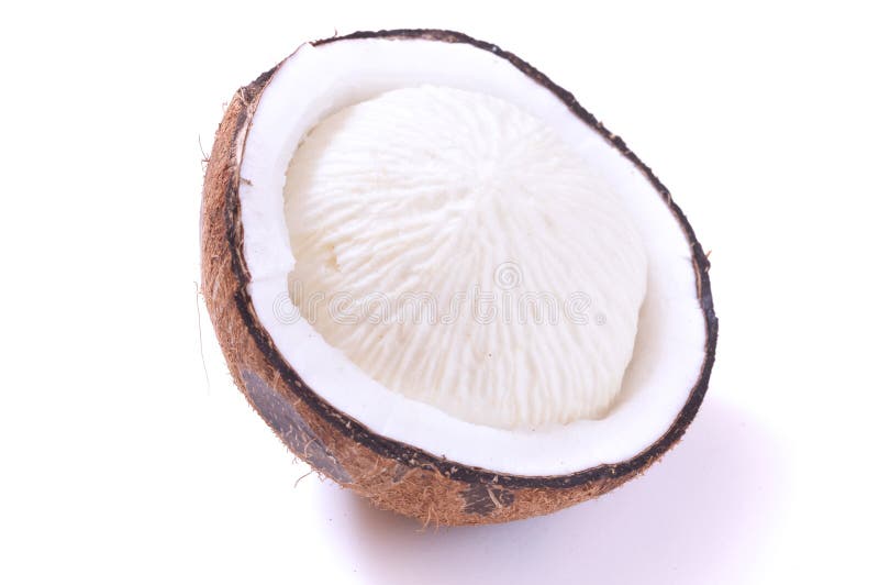 Sprouted coconut meat stock image. Image of nucifera 47516813