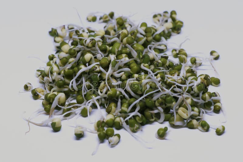 Sprouted green gram isolated with white background stock images