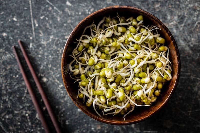 Sprouted Green Mung Beans. Mung Sprouts in Bowl Stock Photo Image of