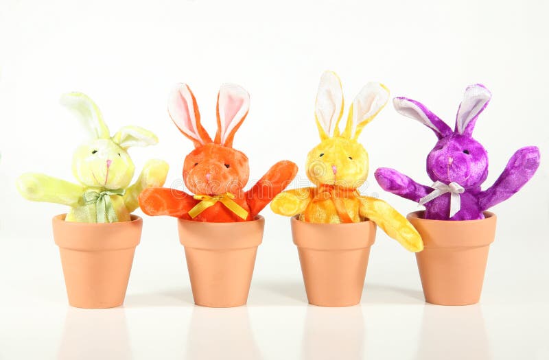 Sprouting Bunnies stock photos