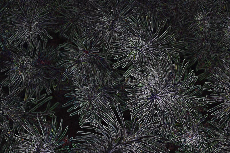 Abstract background simulating pine needles in the hoarfrost. Spruce branches in computer processing.