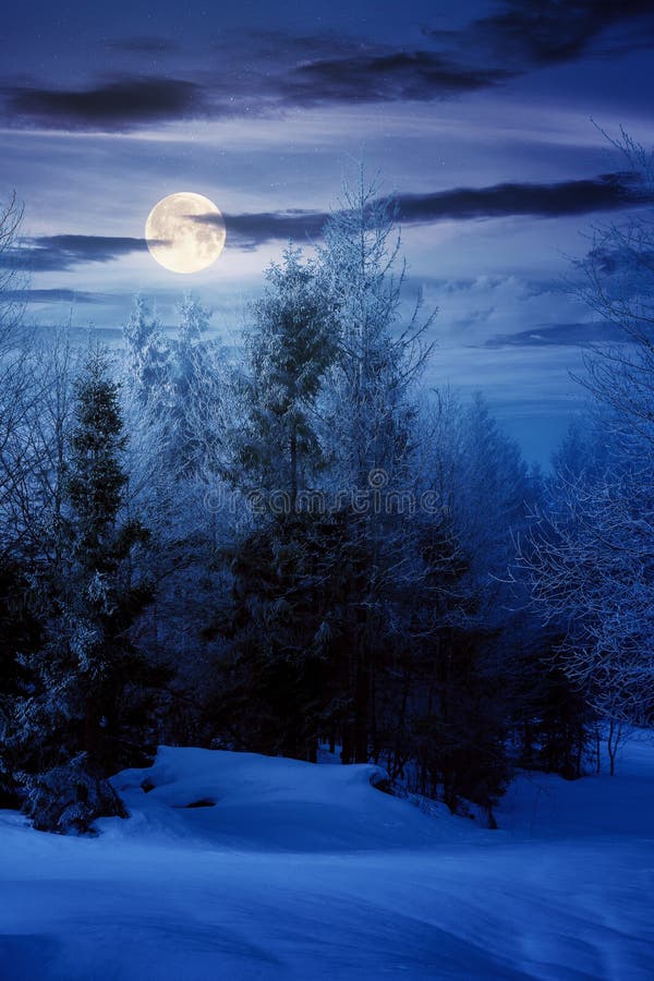 93,445 Snow Landscape Night Stock Photos - Free & Royalty-Free Stock Photos  from Dreamstime