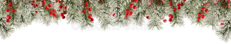 Spruce green Christmas branches with snow, red berries and cones as frame or border for winter design isolated on white background