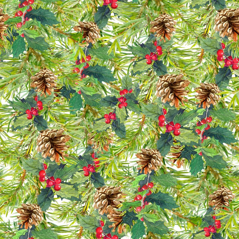 Spruce tree branches, cones, mistletoe. Christmas seamless background. Watercolor