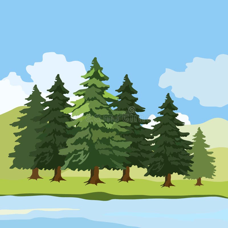 1279 spruce, vector illustration, landscape image, fir trees, horizon