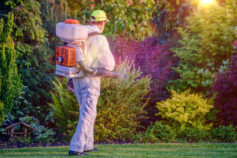 Pest Control Garden Spraying by Professional Gardener Who Wearing Safety Wearing. Pest Control Garden Spraying by Professional Gardener Who Wearing Safety Wearing.