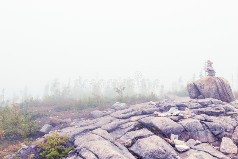 After rainy night, the fog is so thick that the great view at the summit of le Piou Grands-Jardins National Park, Canada is hidden. After rainy night, the fog is so thick that the great view at the summit of le Piou Grands-Jardins National Park, Canada is hidden.