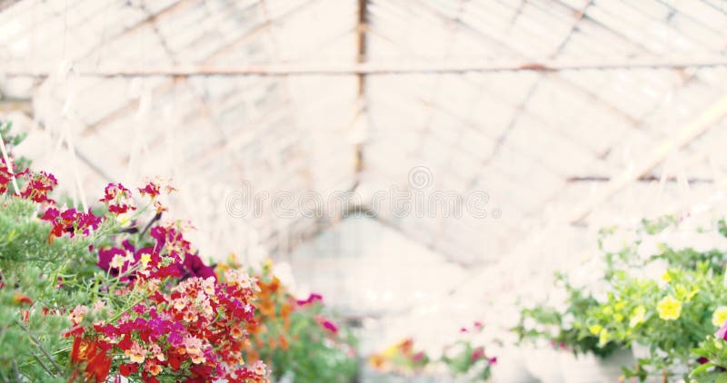 Spurhaltung des Schusses auf Blumenanlage