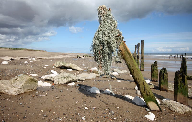 Spurn Point Humber Estuary