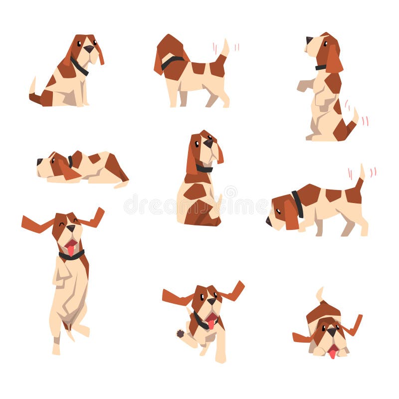 Spürhundhund im verschiedenen Haltungssatz, nette lustige Tierzeichentrickfilm-figur-Vektor Illustration auf einem weißen Hinterg stock abbildung Spürhundhund im verschiedenen Haltungssatz, nette lustige Tierzeichentrickfilm-figur-Vektor Illustration auf einem weißen Hinterg stock abbildung