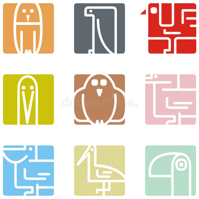 Square animal icon series - birds. Vector illustrations. Tropical animal icons vectors