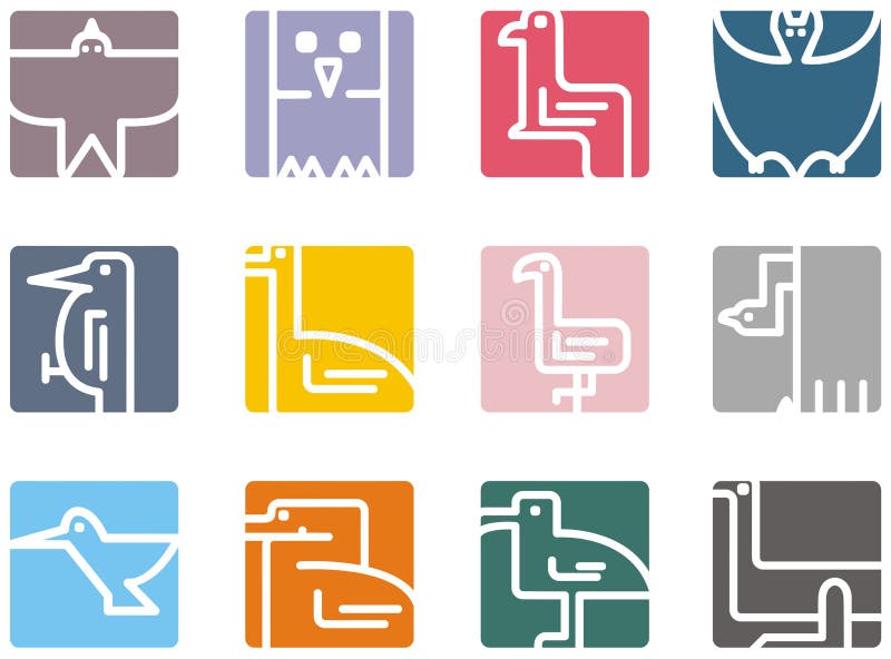 Square animal icon series - birds. Vector illustrations. Tropical animal icons vectors