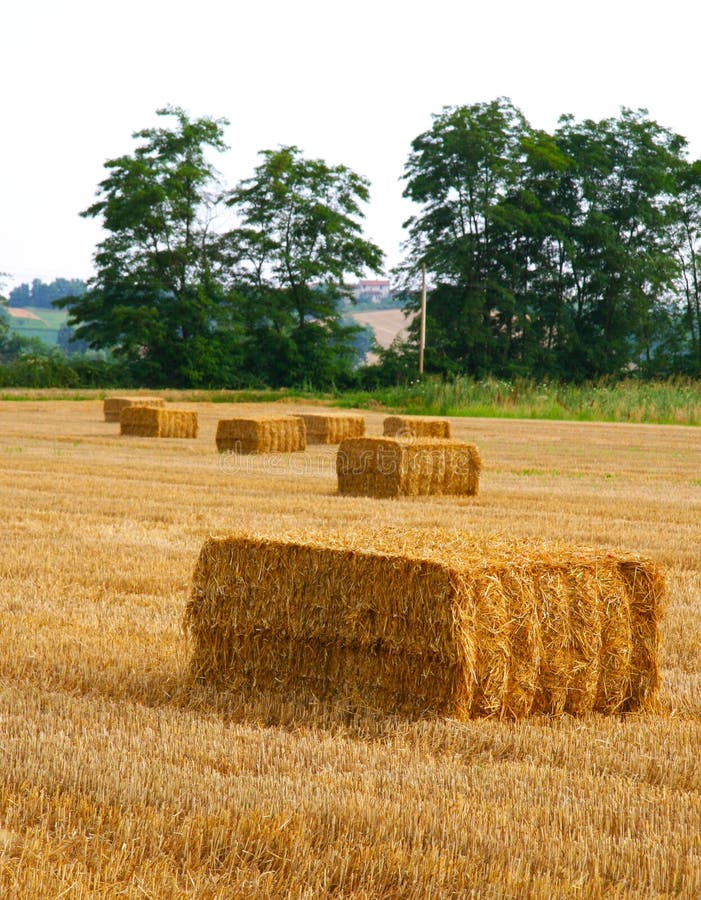 Square bales stock photos