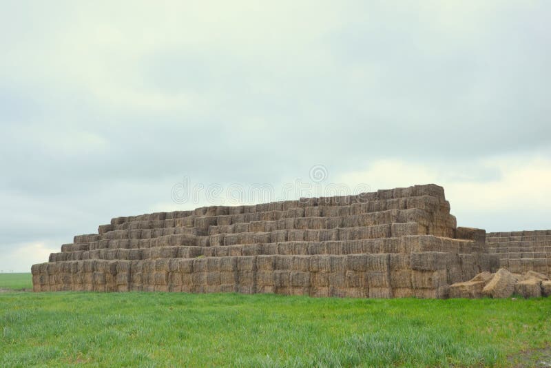 Square bales royalty free stock photos