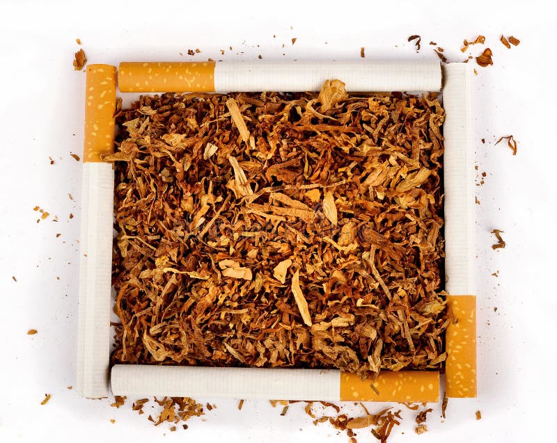 Square of Cigarettes and Tobacco