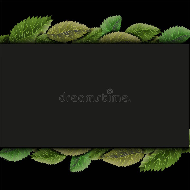 Square frame, overgrown tree branches with green leaves on wooden background. Blank for advertising card or invitation