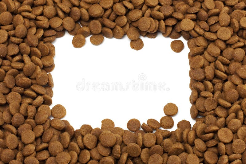 Square frame of pet (dog or cat) food for ackground use