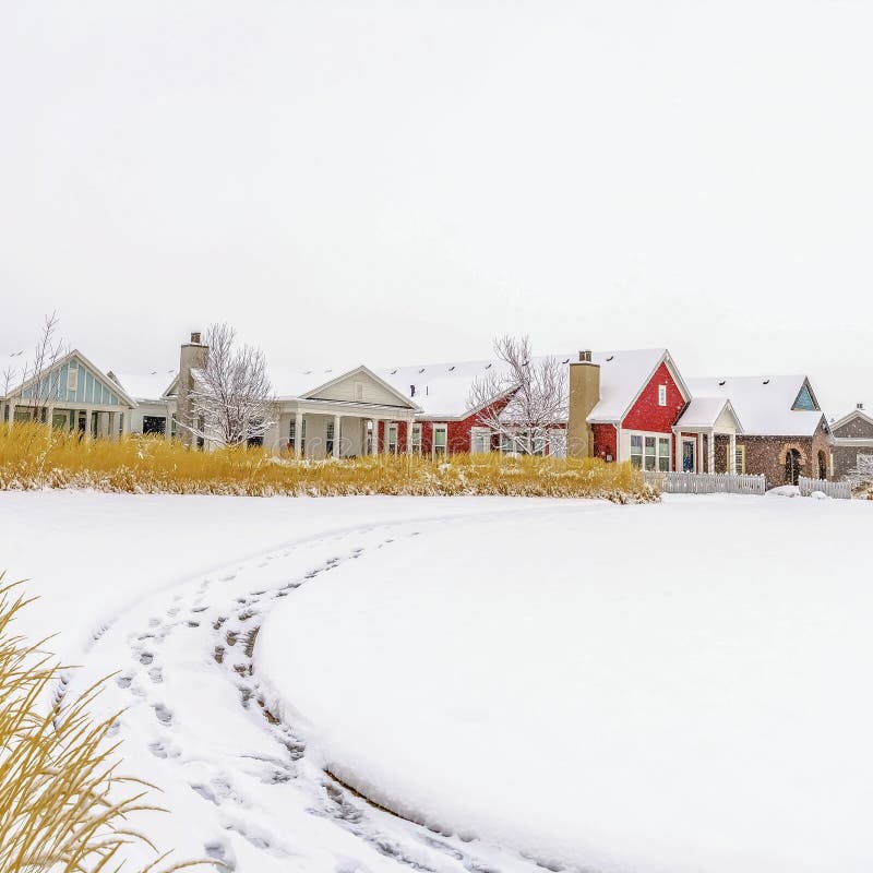 La piazza cittadina telaio scenico da la neve coperto paesi prima case nuvoloso il cielo.