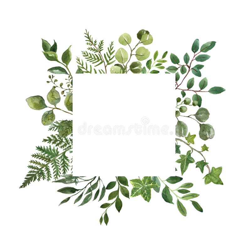 Watercolor greenery foliage frame on white background. Fresh lush herbs, leaves, green branches frame. Summer floral wreath