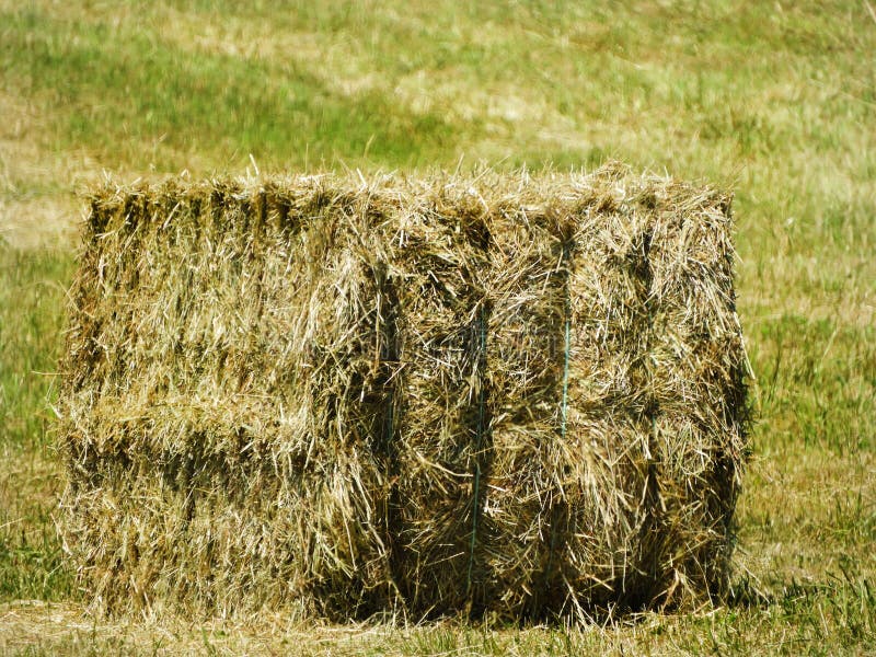 Square Haybale Harvested and Ready for Farm Pick Up Stock Photo - Image ...