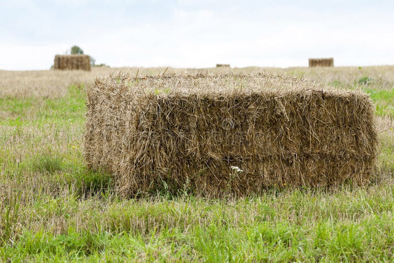 Big haystack stock photo. Image of color, harvest, morning - 102902658