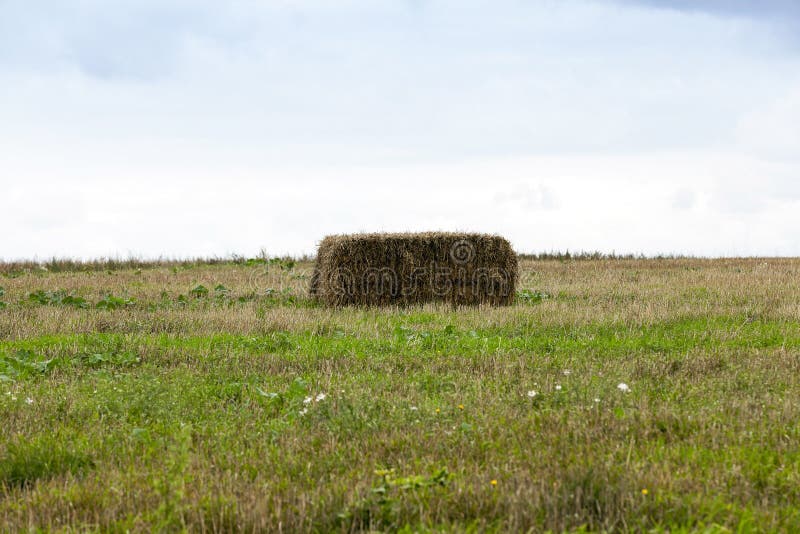 Square haystack closeup stock image